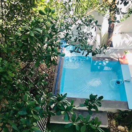Cozy Tiny Studio Acasadialexplayadelcarmen Playa del Carmen Exteriör bild