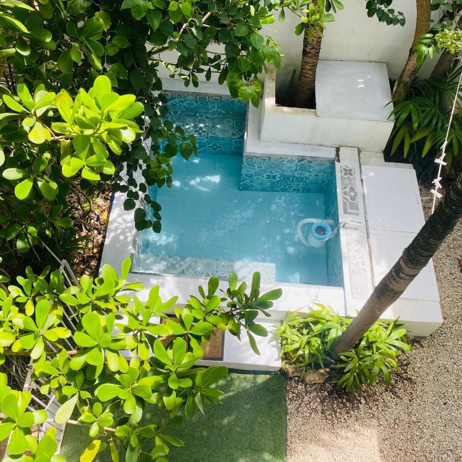 Cozy Tiny Studio Acasadialexplayadelcarmen Playa del Carmen Exteriör bild