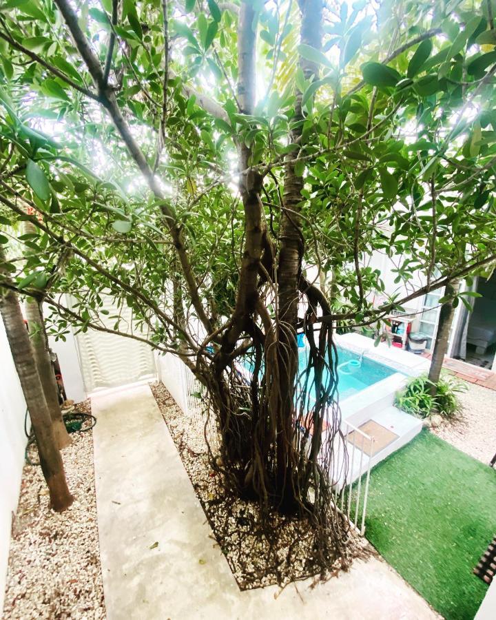 Cozy Tiny Studio Acasadialexplayadelcarmen Playa del Carmen Exteriör bild