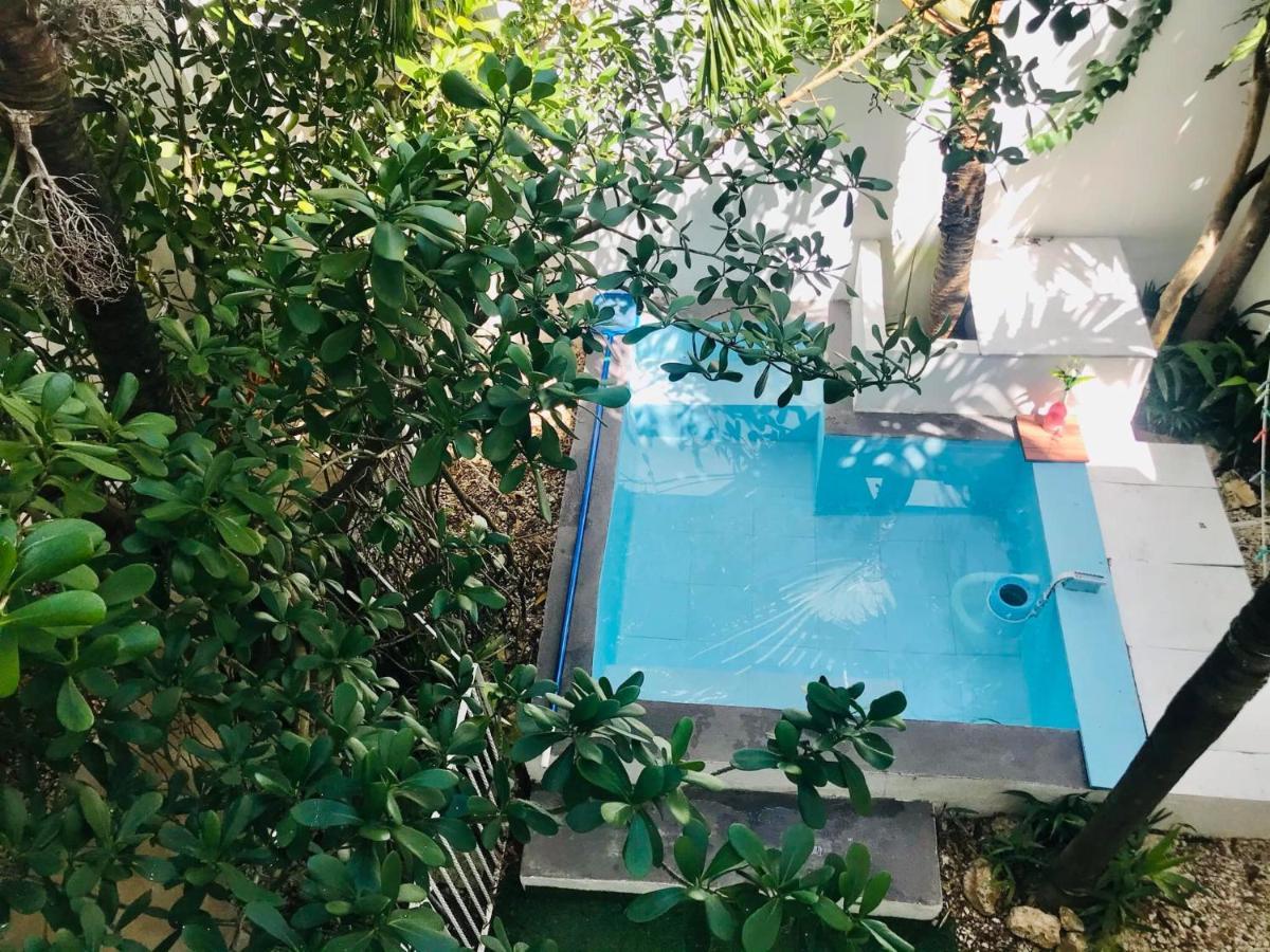 Cozy Tiny Studio Acasadialexplayadelcarmen Playa del Carmen Exteriör bild