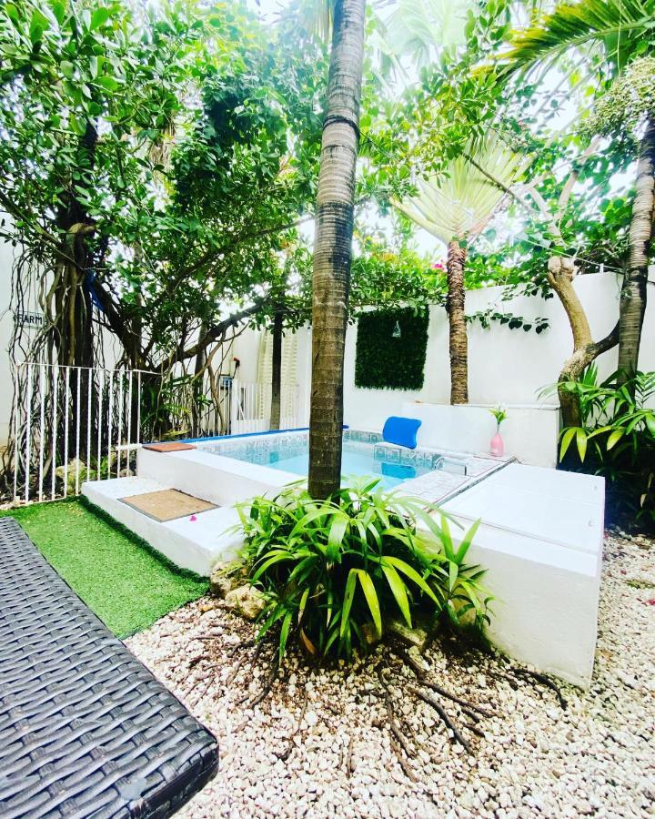 Cozy Tiny Studio Acasadialexplayadelcarmen Playa del Carmen Exteriör bild