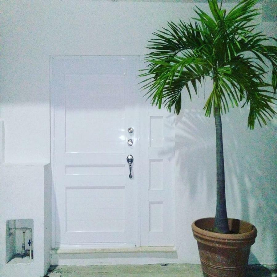 Cozy Tiny Studio Acasadialexplayadelcarmen Playa del Carmen Exteriör bild